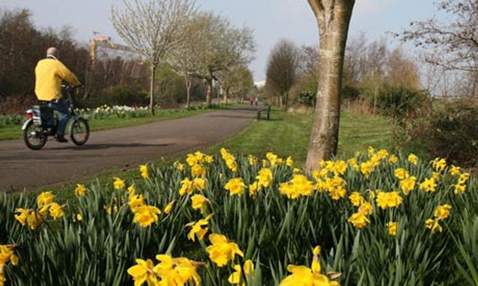 5 Reasons Why Spring is the Best Season