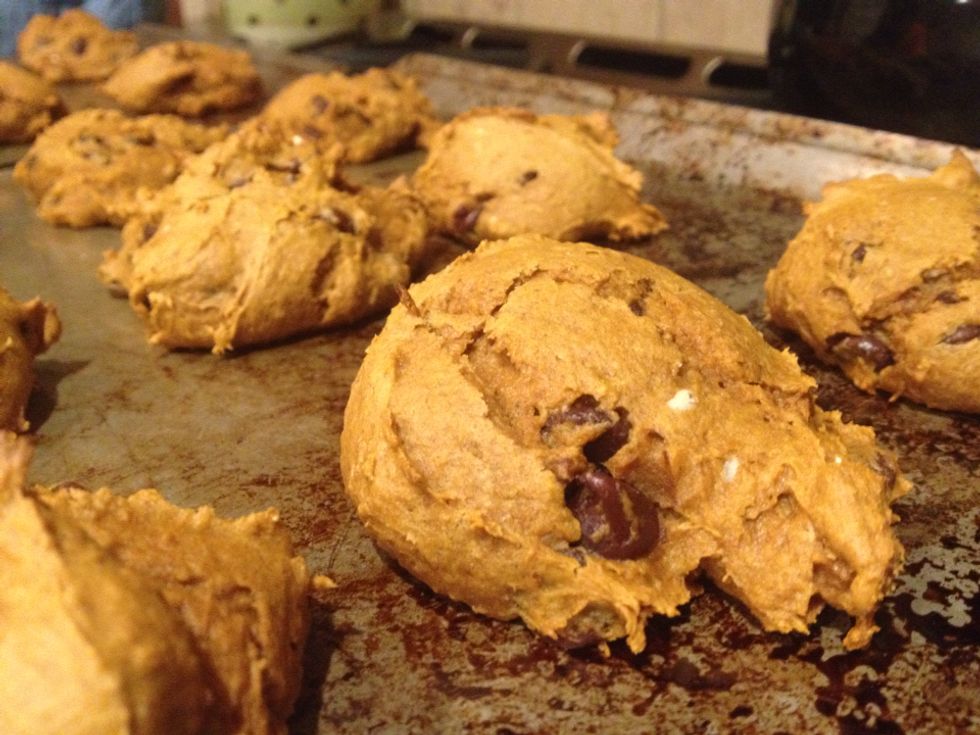 11 Delicious And Simple Fall Dessert Recipes For College Students