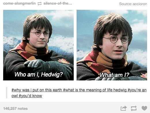 The Top Harry Potter Posts On Tumblr