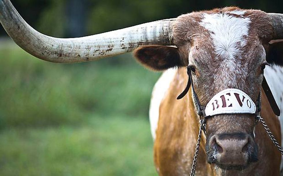 9 Ways To Use The New Hook 'Em Emoji