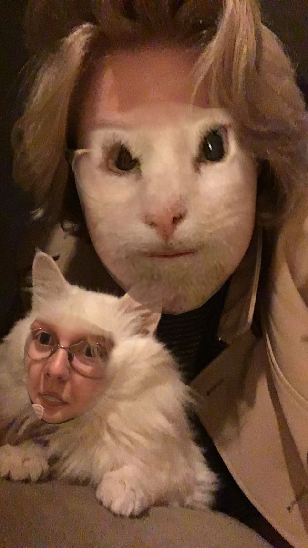 My Cat is my Soulmate