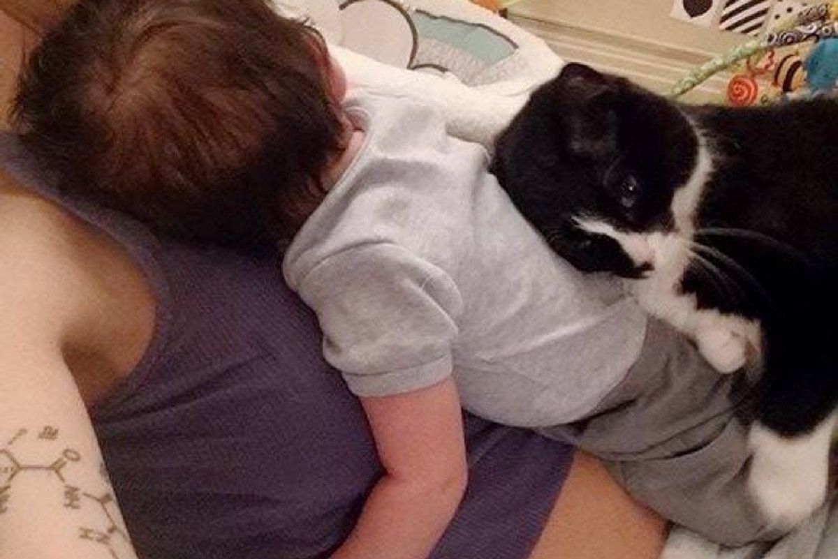 cat keeps baby safe cuddling with him since before birth