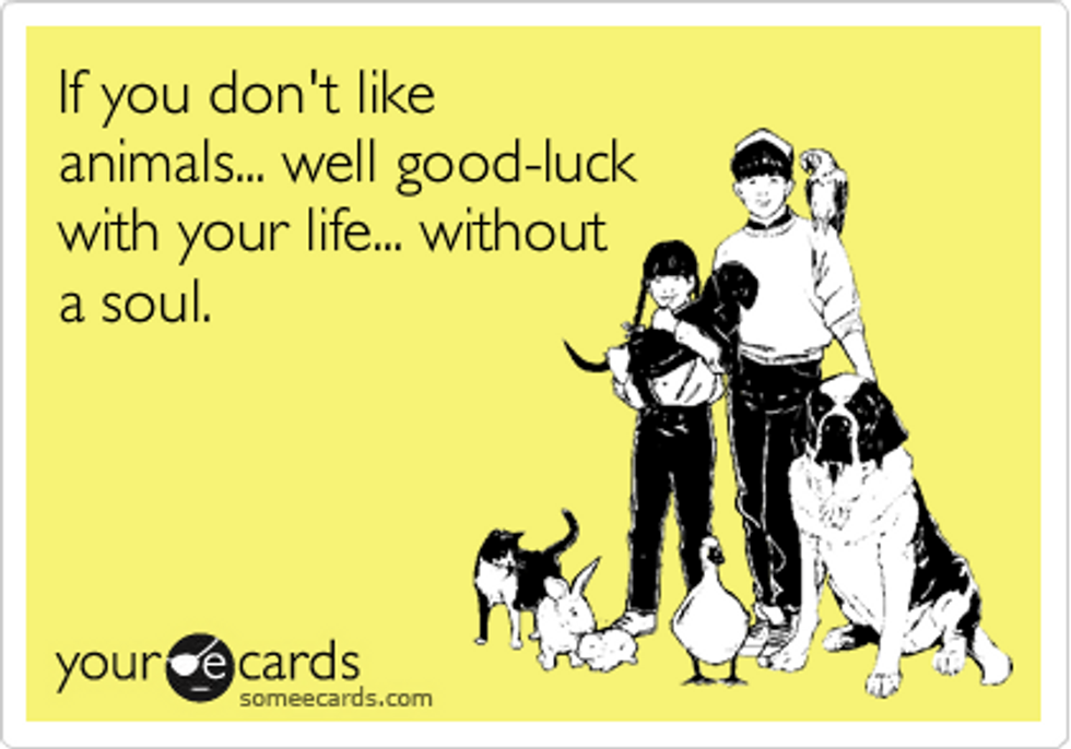 Why Not Being an Animal Person is Okay Why Not Being an Animal Person is Okay
