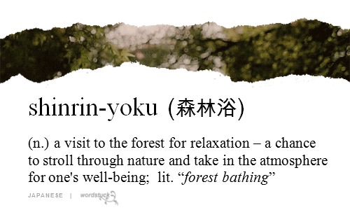 17 Japanese Words To Use When English Doesn't Cut It