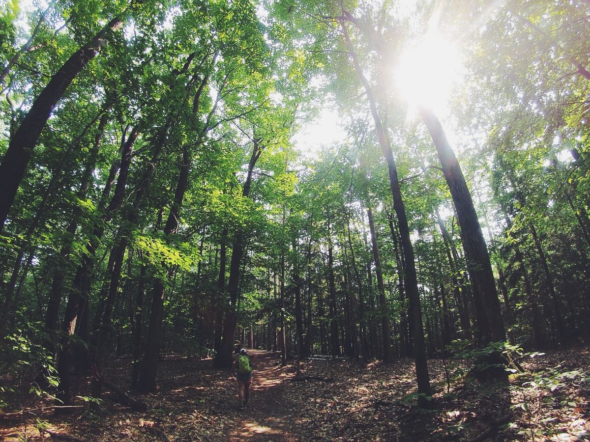 7 Of The Best Hiking Spots In Indiana
