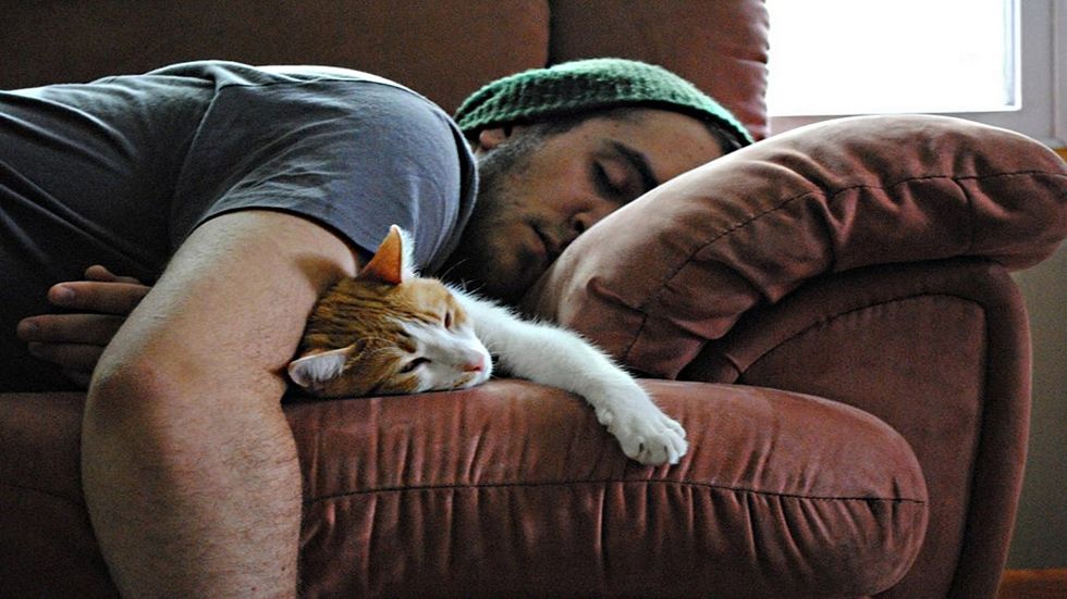 11 Reasons Why My Cat Is My Best Friend