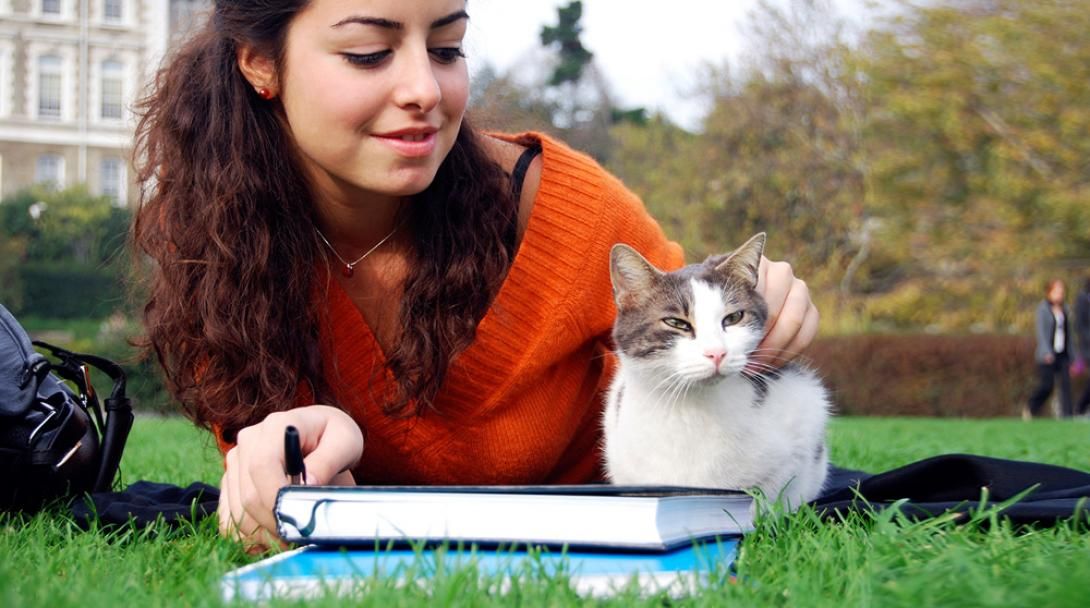 low maintenance pets for college students