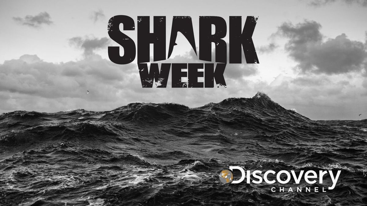 Time To Dive In: Shark Week Returns For Its 29th Edition