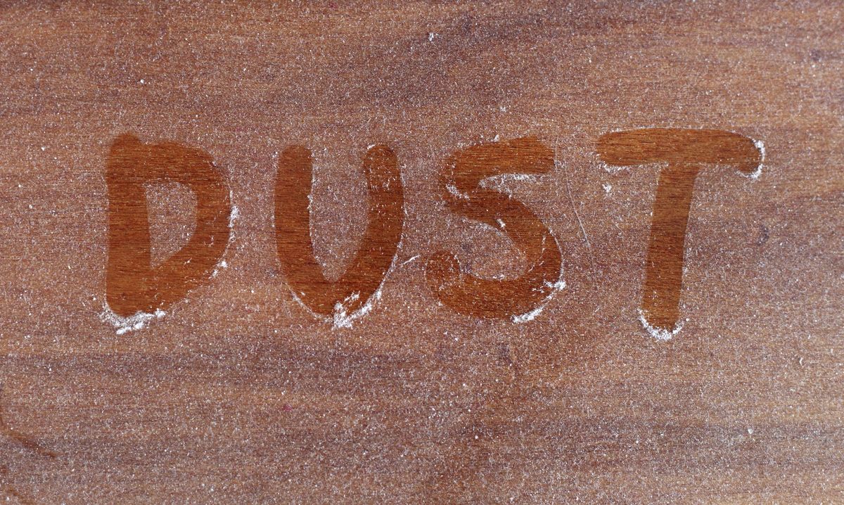 How Dust Makes You Fat