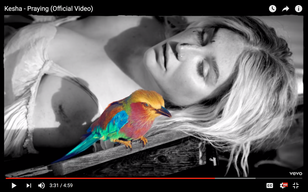 Kesha's New Video 'Praying': An Inspiration For All
