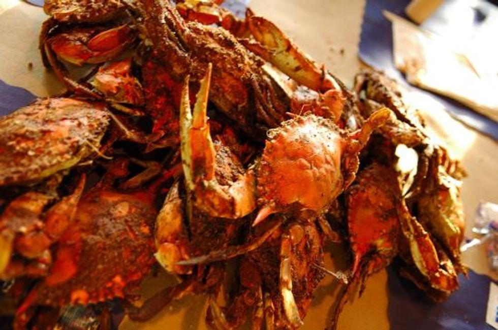7 Best Places To Get Crabs In Baltimore