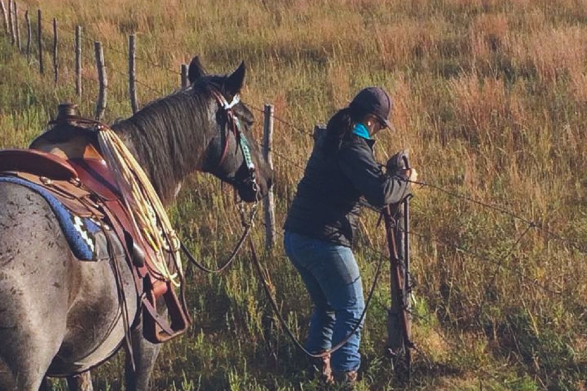20 Things Only Women In The Livestock Industry Relate To
