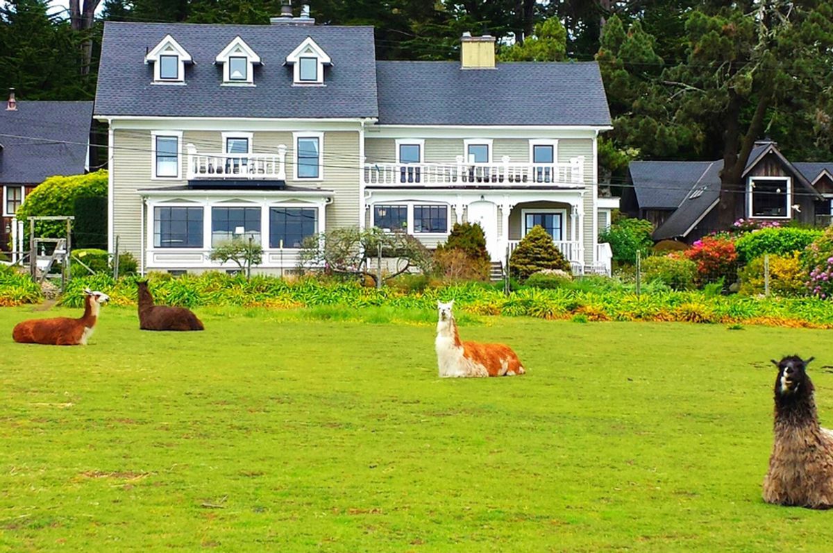 A Modern Guide To Mendocino County Farm Fresh Eats Quirky B Bs
