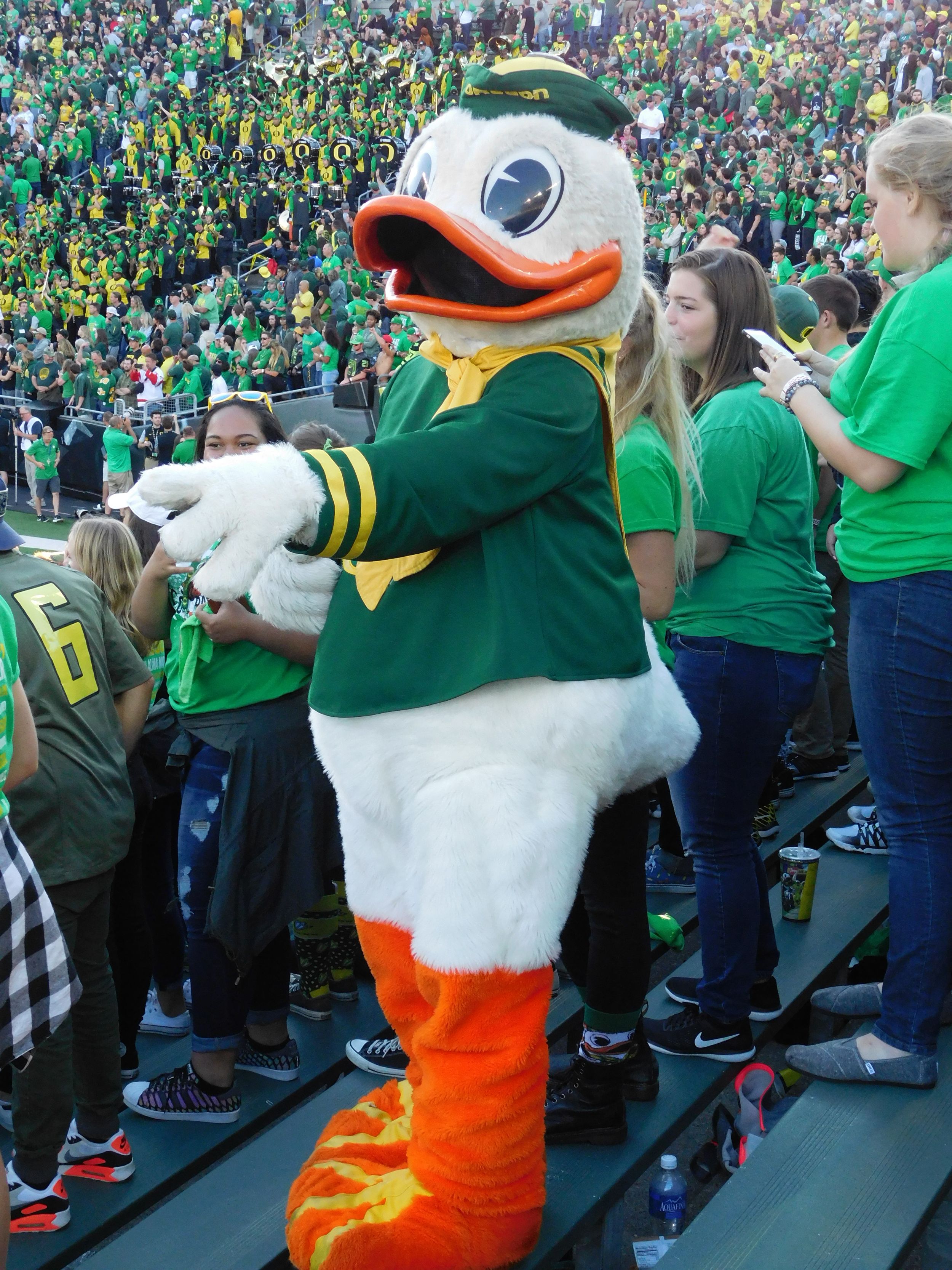 13 Things All Oregon Football Fans Know To Be True