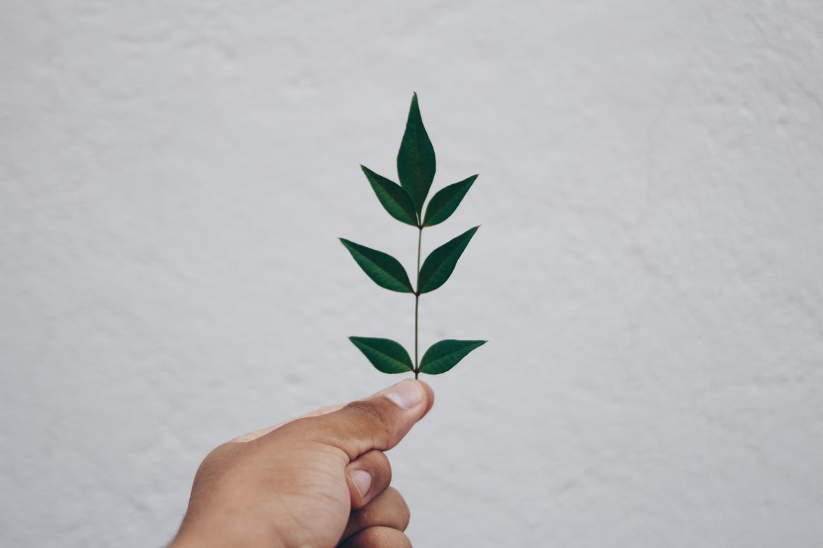 The Value of Being Fully Invested in Yourself
