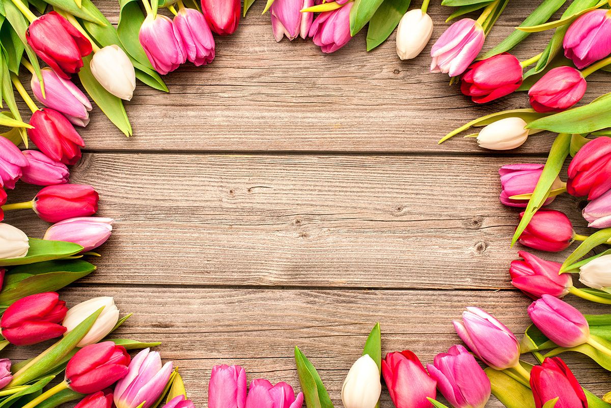 For Those Who Didn't Wish Their Mom Happy Mother's Day
