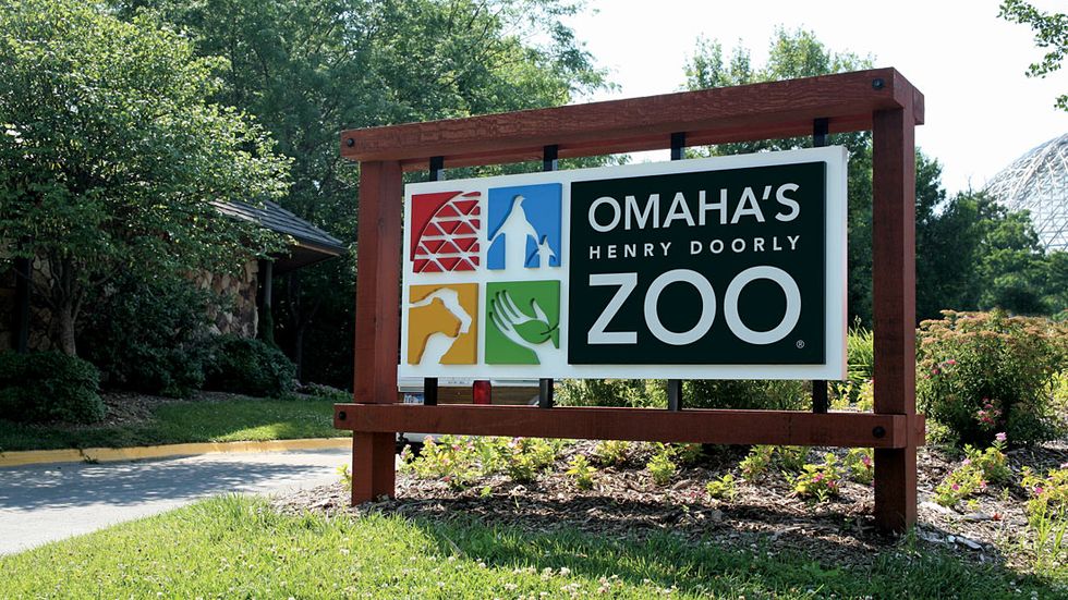 10-things-to-do-at-the-henry-doorly-zoo