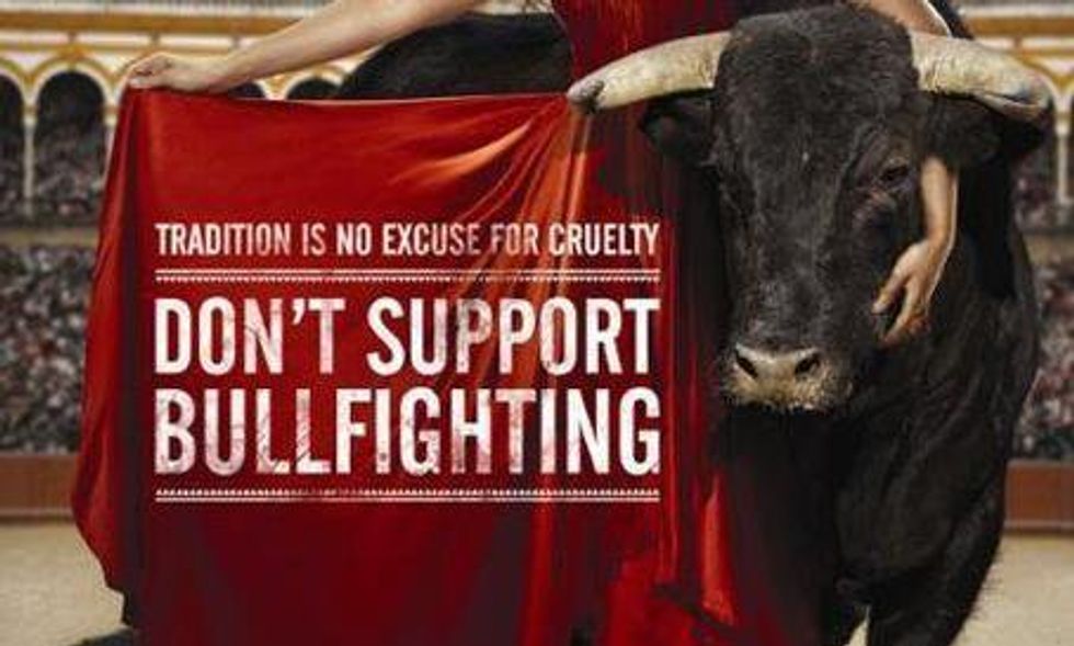 Why Bullfighting Is Wrong