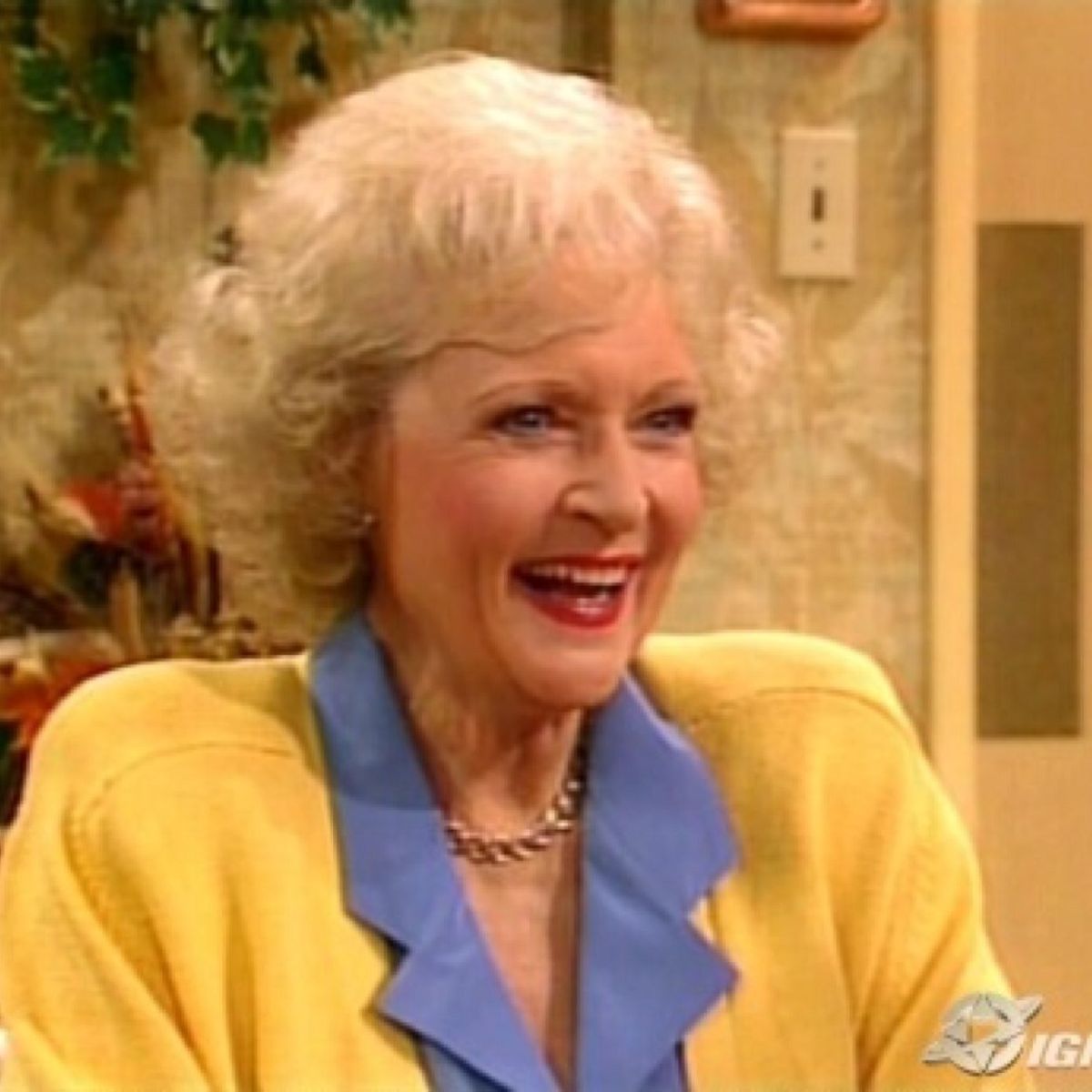 4 Of Rose Nylund's Best OneLiners