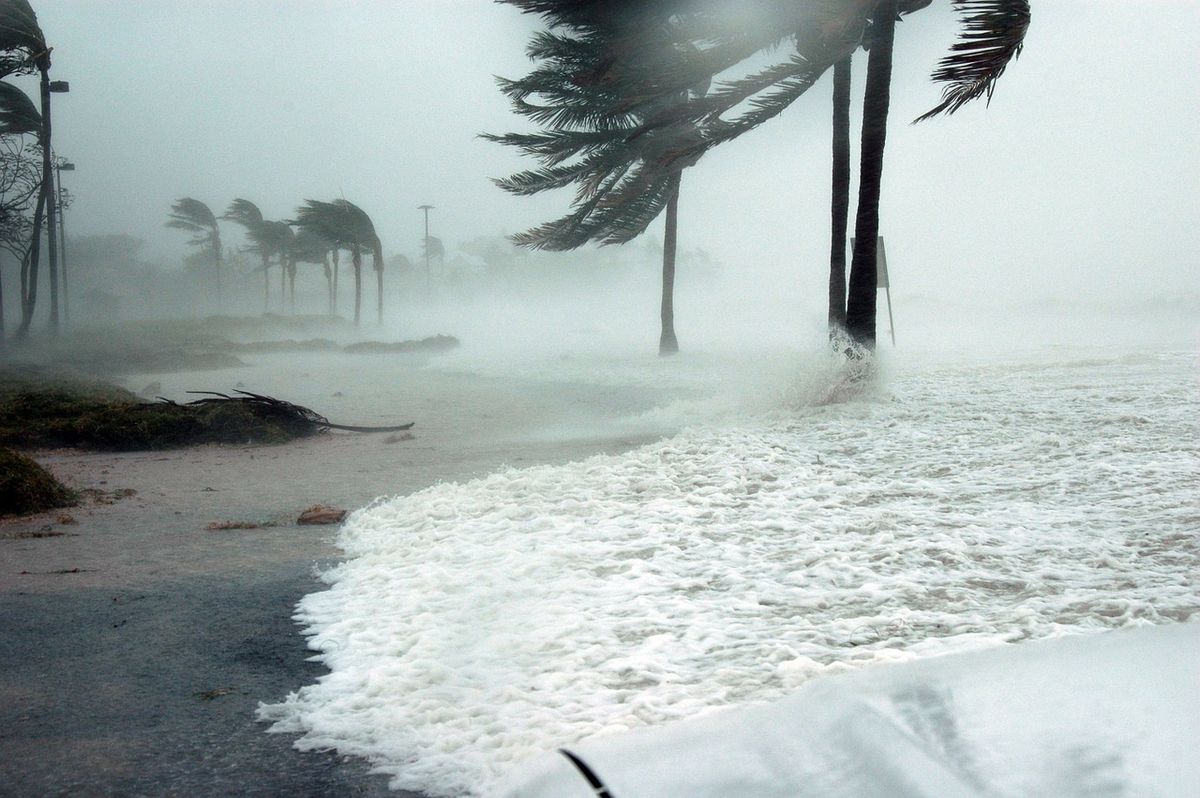 16 Things You Can Do While You Wait Out A Hurricane