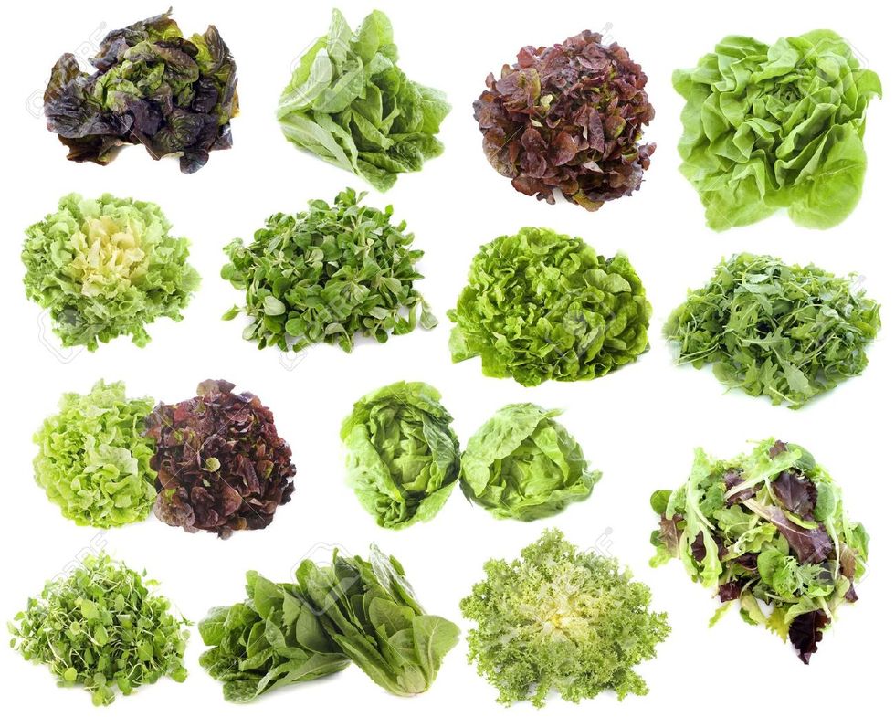 a-definitive-ranking-of-lettuce-types