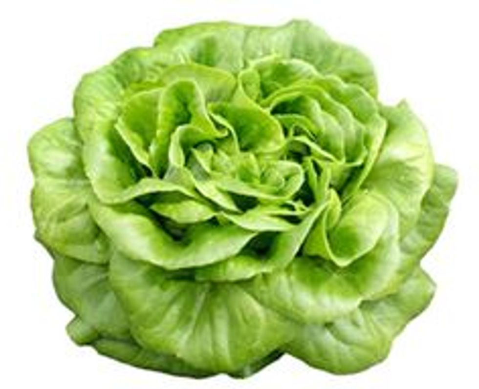 A Definitive Ranking Of Lettuce Types