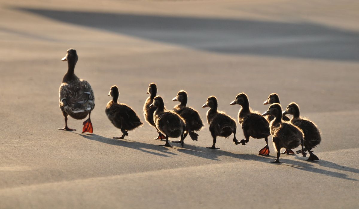 On Authority