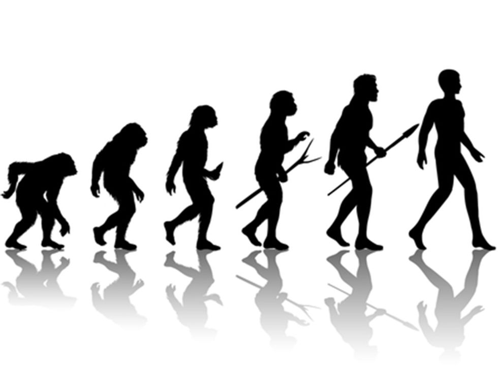 5 Evolution Misconceptions Explained