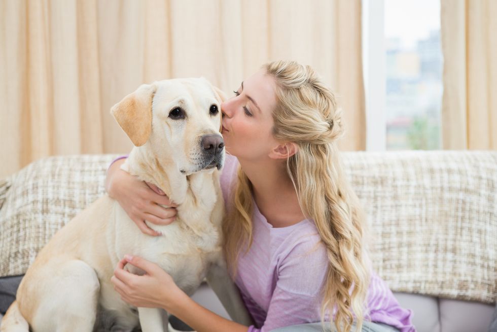 9 Reasons You Need A Dog In College