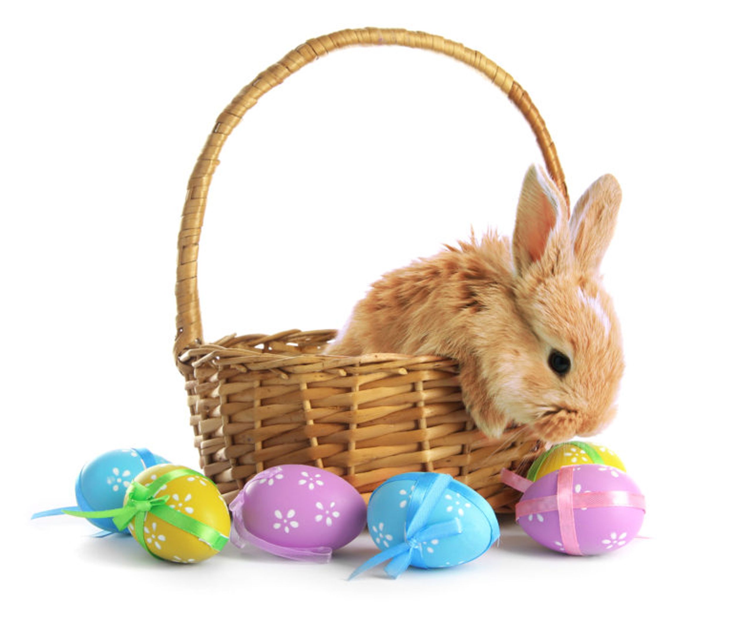 12 Things To Put In A College Kid's Easter Basket