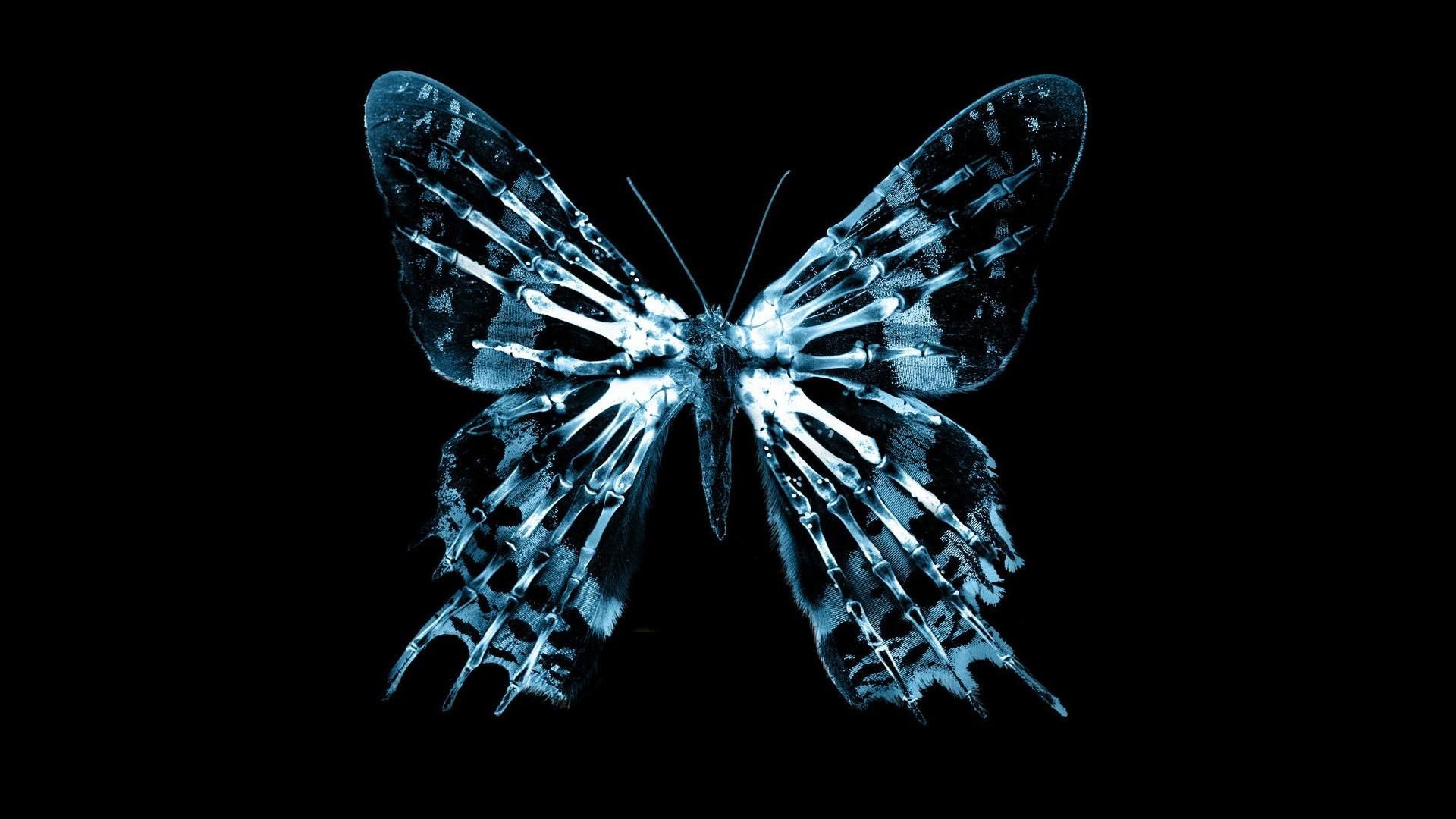 the butterfly effect 720p yify