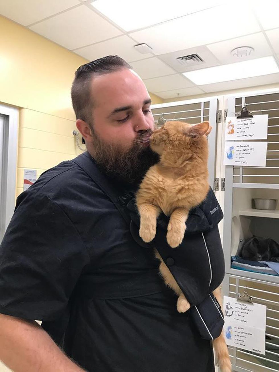 15-year-old Shelter Cat Cries Until He's Held All the Time ...