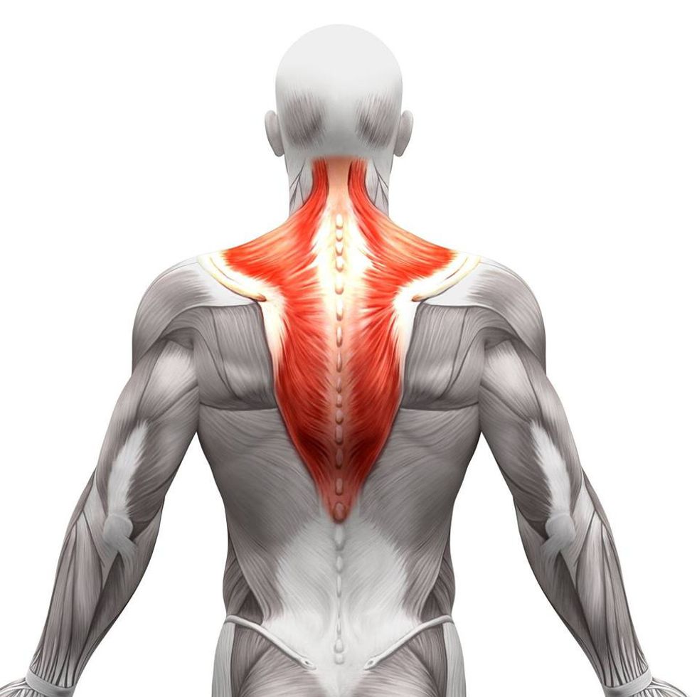 The Best Treatment for Upper Back Pain – TrapEAZE Technique™