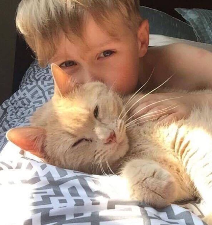 Young Boy Could Adopt Any Pet But Chose 10-year-old Giant Ginger Named  Tiny! - Love Meow