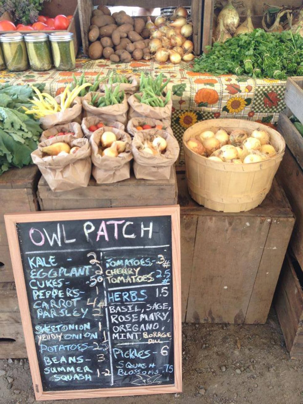 5 Must-Do Fall Dates In Lubbock, Texas For You And Bae