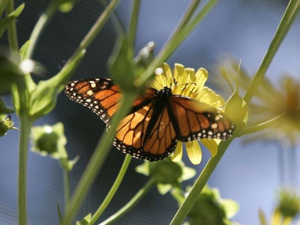 20 Fun Things You Need To Do In Appleton, Wisconsin