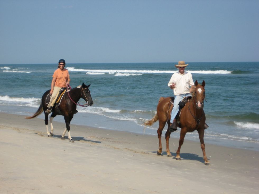 10 Reasons Why You Need To Visit Chincoteague Island
