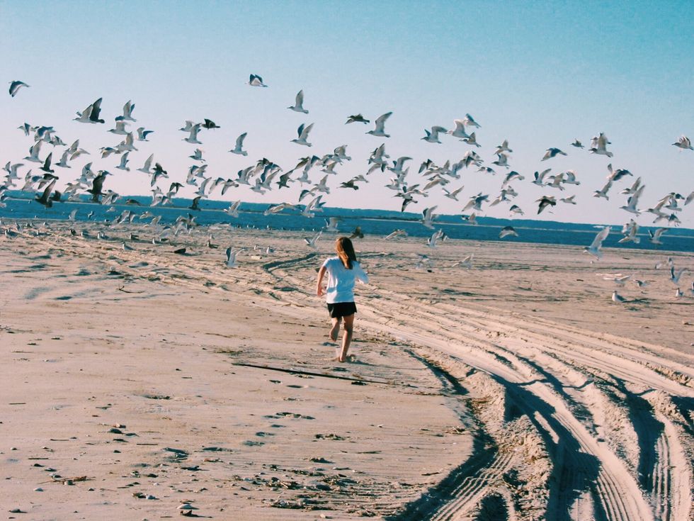 10 Reasons Why You Need To Visit Chincoteague Island