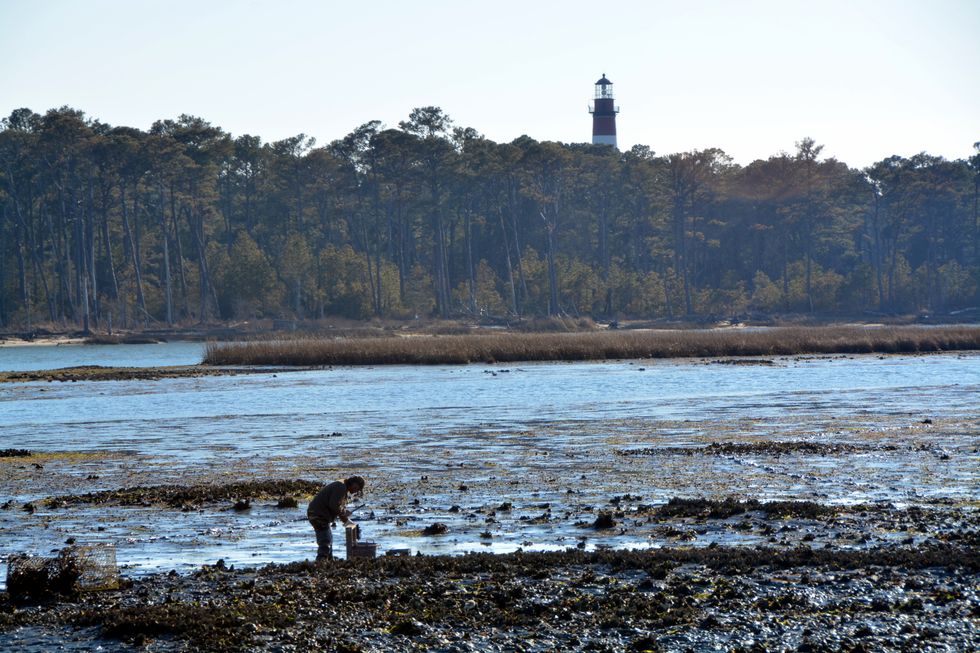 10 Reasons Why You Need To Visit Chincoteague Island