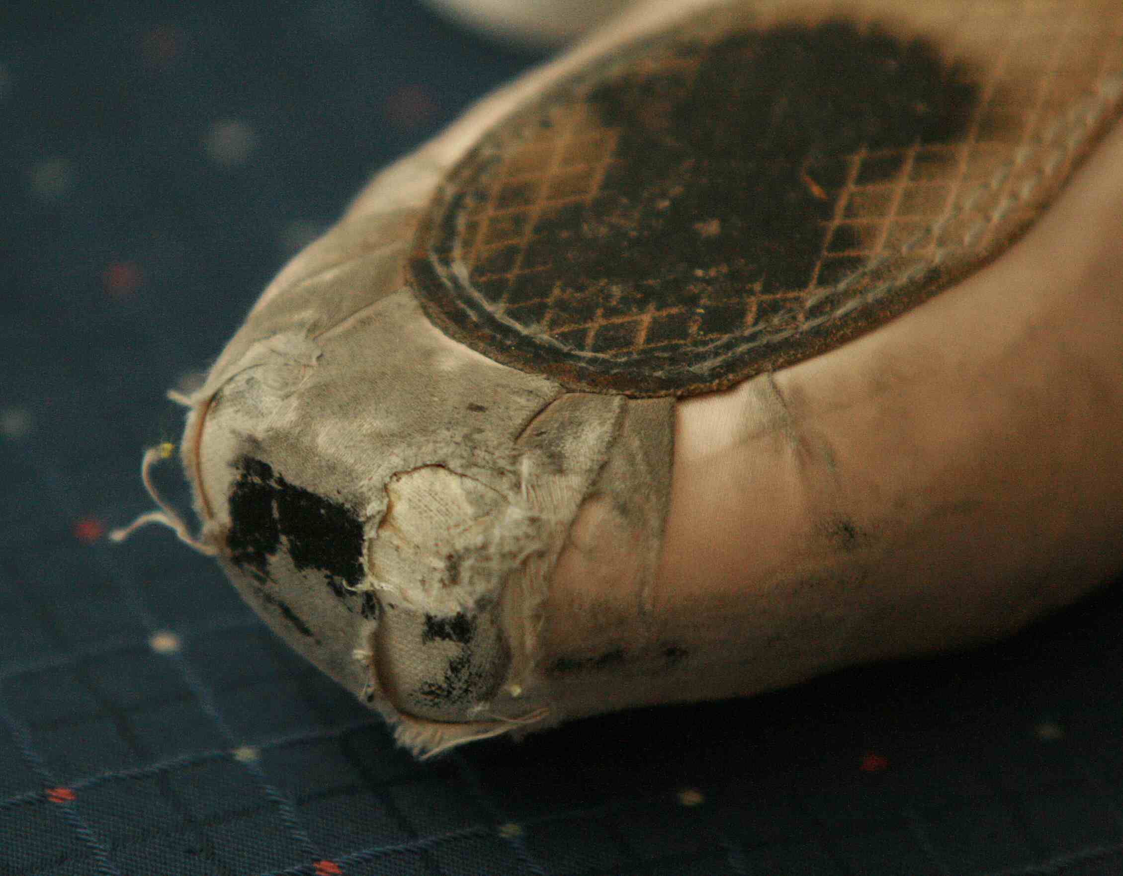 jet glue pointe shoes