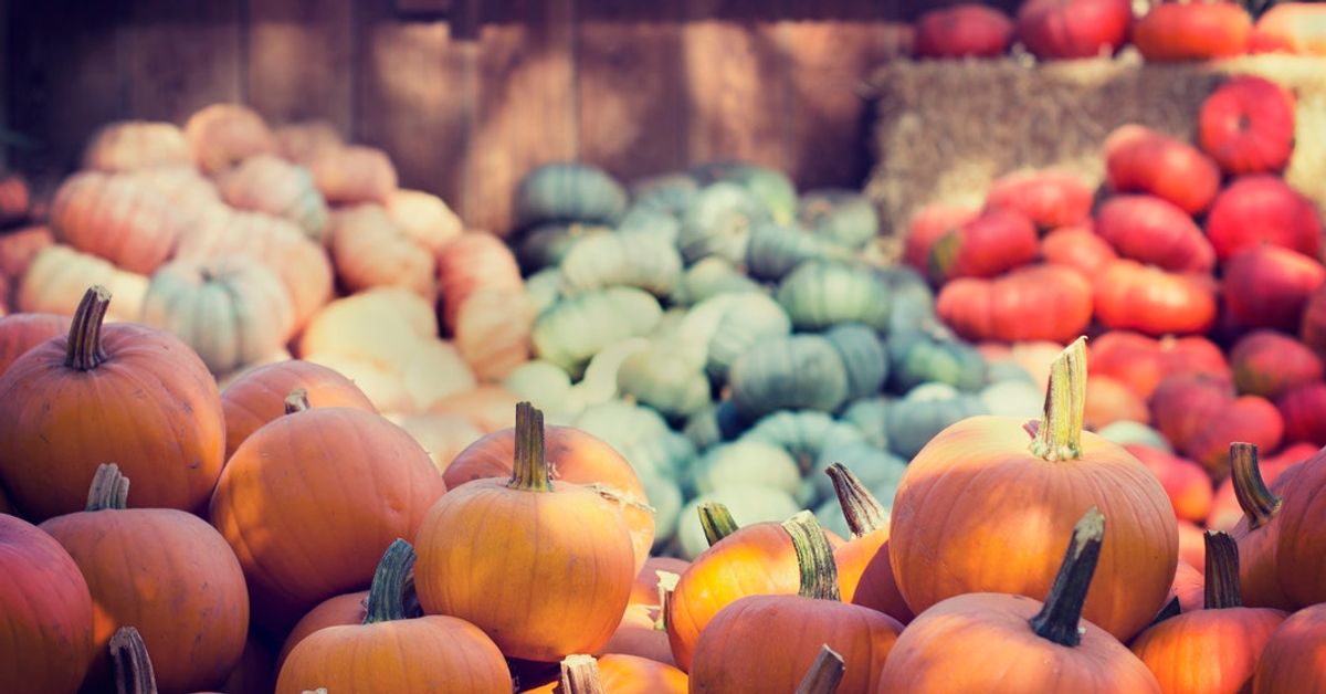 10 Fall Aesthetics To Get You Through the School Day