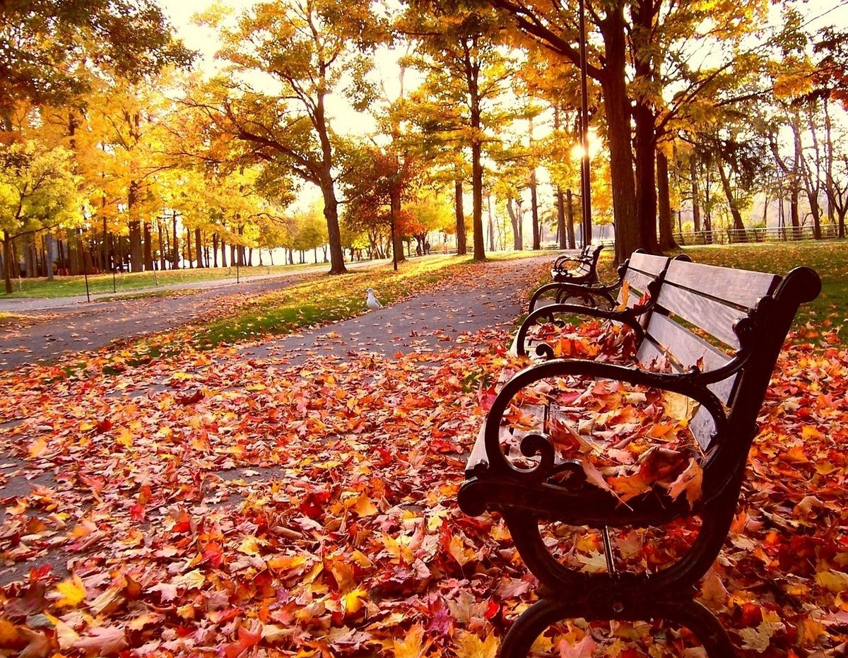 10 Things That Only Fall Lovers Understand
