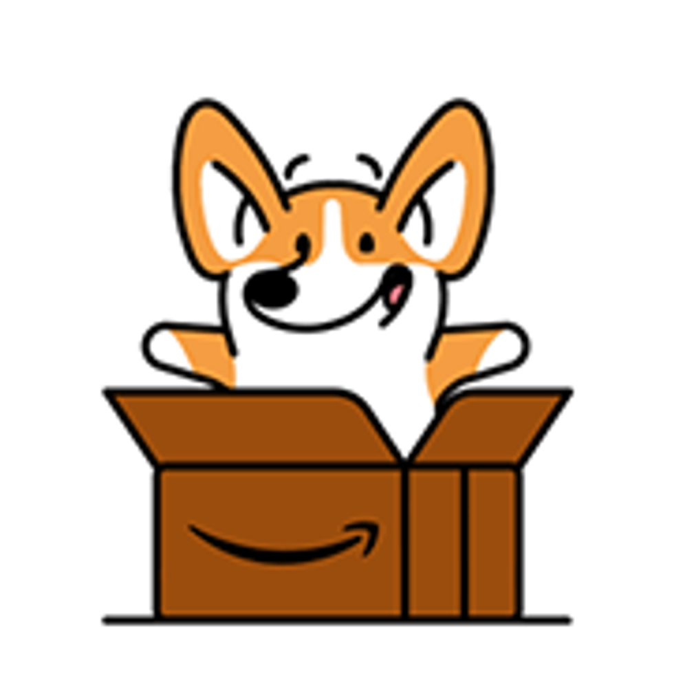 Meet Amazon's 4,000 Dogs