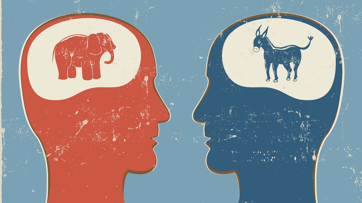 Political Polarization