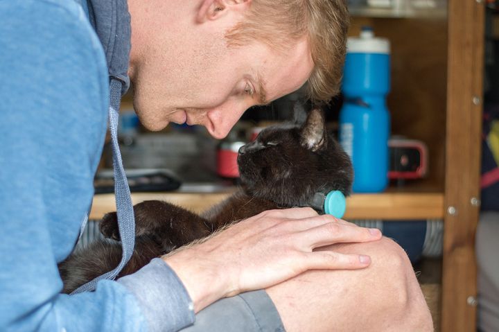 Man Left His Job, Sold Everything to Travel With Cat Who Rescued Him During Toughest Time