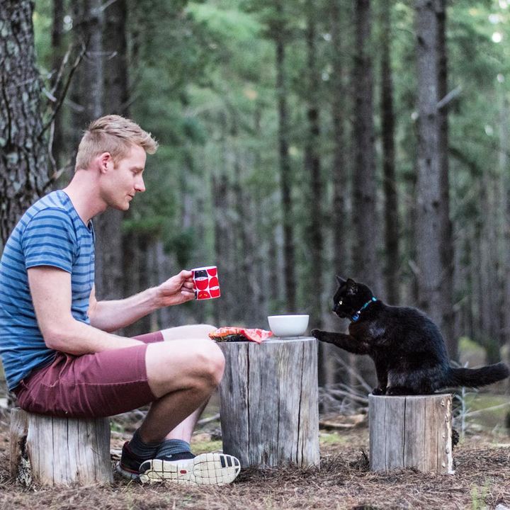 Man Left His Job, Sold Everything to Travel With Cat Who Rescued Him During Toughest Time