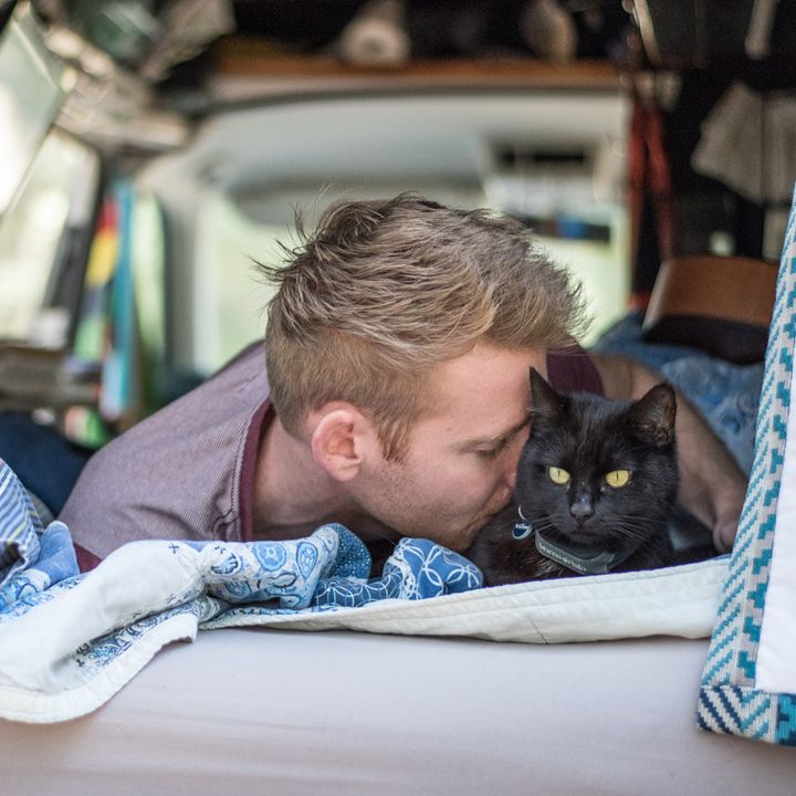 Man Left His Job, Sold Everything to Travel With Cat Who Rescued Him During Toughest Time