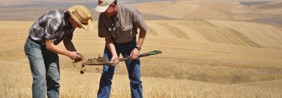 Is soil the great new integrator?