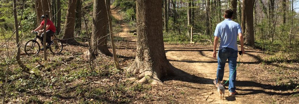 Trees, science and the goodness of green space.