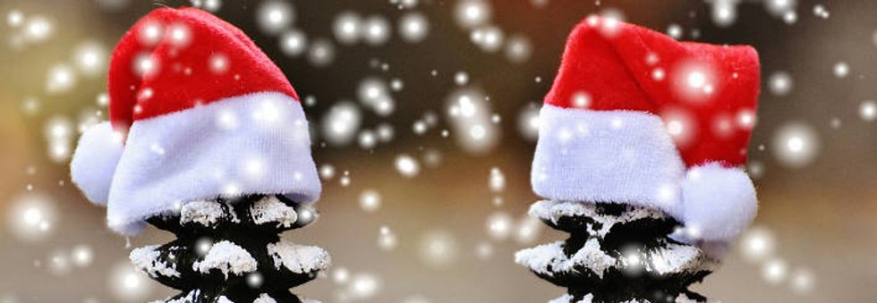 Our 2016 holiday themed news quiz.